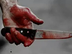 مشادة  عنيفة وقعت بينهما، انتهت بطلب الضحية منه مغادرة المنزل، قام القاتل بالولوج إلى المطبخ وإحضار سكين