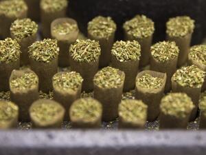 Plastic bag containing rolls stuffed with dried cannabis plants (marijuana) (AFP/File Photo)	