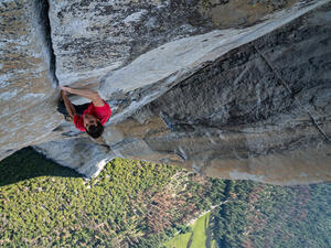 A still from the film 'Free Solo'. (National Geographic)