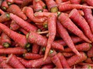 يحتوي الجزر الأحمر على كميات كبيرة من فيتامين أ

