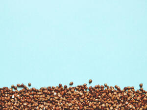 بذر الجزر يعالج الأمراض النفسية والتوتر واعتلال المزاج