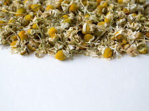 يساهم البابونج في تخفيف آلام الدورة الشهرية