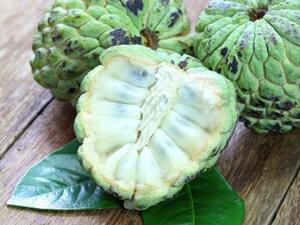 تسهم القشطة في تحسين صحة عينيك ونظرك بشكل ملحوظ (shutterstock.com)