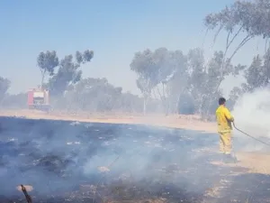 Incendiary kites and balloons were sent from Gaza (Twitter)