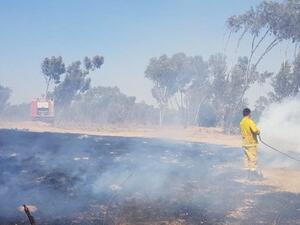 Incendiary kites and balloons were sent from Gaza (Twitter)