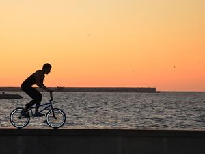 Pick one activity and you could burn the most calories in an hour! Pick one activity and you could burn the most calories in an hour!
