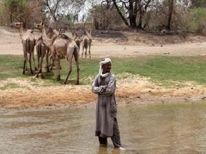 Herders in Nigeria (AFP/File Photo)	