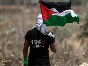 Palestinian youth waving the national flag (AFP/File Photo)	