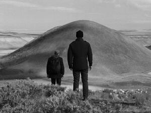 مؤسسة الدوحة للأفلام