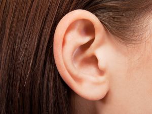 Part of the woman's ear was lost in the attack, leaving her with permanent injury. (Shutterstock)