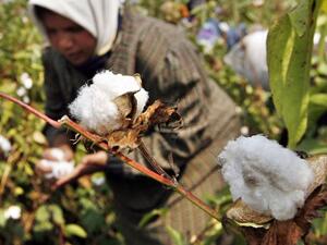 Egypt has reported a decline in the unemployment rate during the first quarter of 2017, to reach 12 percent of the total labor force, compared to 12.7 percent in the first quarter of 2016, with youth (15-29 year-olds) making up 79 percent of the total unemployed ratio. (AFP)
