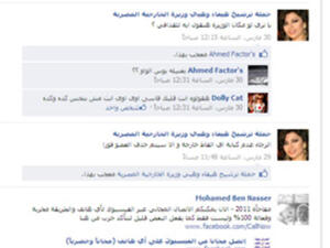 Page created on Facebook to nominate Haifa Wahbi as Egypt's Foreign Minister
