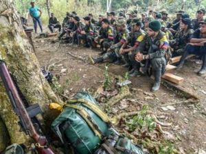 فارك جندت أكثر من 11 ألف قاصر