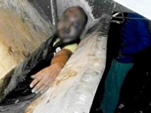 كلنا بائع السمك