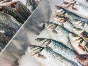 الأسماك المجمدة تحتوي على نفس العناصر المفيدة الموجودة في الأسماك الطازجة (shutterstock.com)