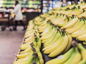 March witnessed a downward trend in price indexes of the food groups except meat, according to UN's Food and Agriculture Organization (FAO). (File photo)