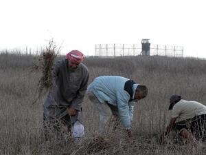 مزارعون فلسطينيون يعملون في حقلهم بالقر من الحدود الاسرائيلية مع غزة/الاثنين/أ.ف.ب