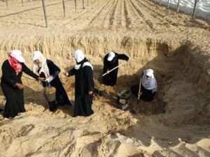 نساء غزيات يعملن في حفر بركة تجميع مياه في احدى المزارع/أ.ف.ب