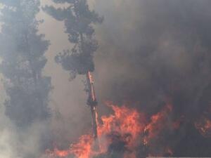 دعت الحركة كل من يجد صعوبة في الوصول للمسجد الأقصى للصلاة على أقرب نقطة ممكن الوصول لها 