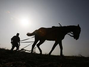 A Palestinian farmer plows his land in Gaza Strip near border fence with Israel (AFP/File Photo)