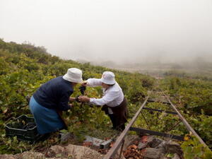السودان يتمتع بإمكانات زراعية كبيرة إذا أمكن استغلالها يمكن الحصول على قدر كبير من الغذاء