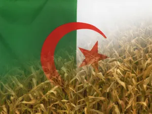 الجزائر تستنجد بالأجانب بهدف  إنعاش الزراعة