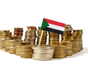 شركات تأمين عالمية تتوافد للعمل في السودان