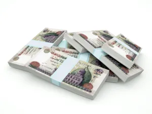 ستنفق الحكومة المصرية نحو 1.2 تريليون جنيه (67 مليار دولار) خلال العام المالي المقبل، الذي سيبدأ في الأول من يوليو (تموز)