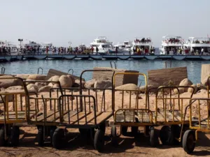 أوضح كبير اقتصاديي المنطقة في سيتي جروب فاروق أن مصر لا تحتاج صندوق النقد من “الناحية المالية”، إنما تحتاجه على “الصعيد الفني”، ما يعني دعماً فنياً بدون تمويل يكون “بلا أنياب”