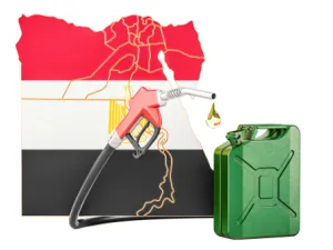 صندوق النقد يشدد على مصر برفع أسعار الطاقة