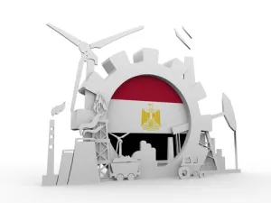 بلغت قيمة شحنات المواد البترولية، التى وردتها شركة أرامكو السعودية لمصر 1.2 مليار دولار خلال 4 أشهر ماضية