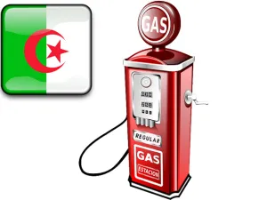 شهد قطاع المحروقات الجزائري تراجعاً في النشاط في 2014 بنسبة 0.6%