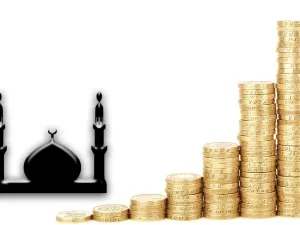 دولة الإمارات بدأت تأخذ وضعها ومكانتها العالمية في الاقتصاد الإسلامي الذي تقترب نسبة نموه من ضعف نسبة نمو الاقتصاد العالمي