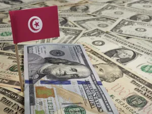 تقدر كتلة الديون الخارجية على الدولة التونسية بنحو 50 مليار دينار تونسي (نحو 20 مليار دولار) وهو ضعف حجم ديون تونس الخارجية قبل سنة 2011