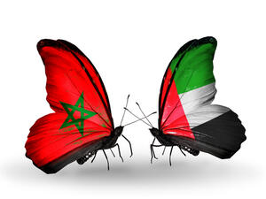 تحتل الإمارات المرتبة الأولى على صعيد الاستثمارات العربية بالمملكة المغربية