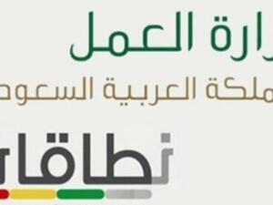11 شركة عملاقة وقعت ضمن النطاق الأحمر من أصل 807 شركات عملاقة في السعودية خلال 2012