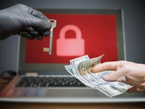 أطلق باحثون من شركات متعددة اسم "بيتيا" Petya على برمجية انتزاع الفدية