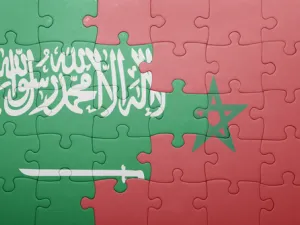 اتفاق سعودي مغربي لبحث فرص الاستثمارات في أفريقيا