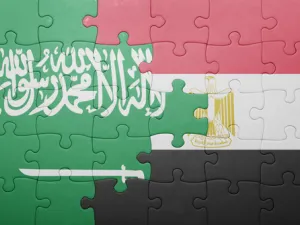 رجال أعمال سعوديين يستثمرون نحو 4 مليارات دولار في مشروعات في مصر 
