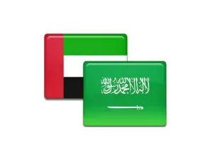 قيمة استثمارات السعودية في دولة الإمارات في تزايد مستمر وتشكل قيمة مضافة كبيرة في قطاعات العقار والصناعة والتجارة والسياحة وغيرها