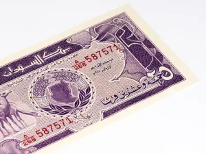 السودان المركزي يضع ضوابط جديدة لتوفيق أوضاع القطاع المصرفي