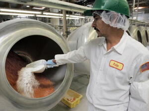 تبلغ الطاقة الإنتاجية للمصنع، الذي أقيم في منطقة الحد الصناعية الحديثة، 600 ألف طن في المرحلة الأولى، تتضاعف إلى 1,2 مليون طن سنوياً في المرحلة الثانية، بحيث يغطي احتياجات السوق المحلية وتصدر النسبة الباقية إقليميا ودولياً