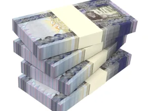 ارتفاع الجنيه سيكون قصير الأمد إذا لم تبدأ البنوك في طرح الدولارات مجددا وهو ما يرونه غير محتمل الحدوث