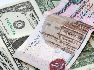 وصلت مكاسب الجنيه المصري أمام الدولار إلى نحو 13% منذ أواخر يناير/كانون الثاني وحتى اليوم ليصل إلى 16.50 جنيه للدولار في بعض البنوك