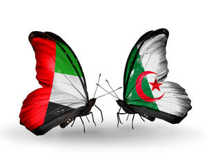 البلدين يمتلكان الكثير من المقومات التي لا تعكس حجم التبادل التجاري بين الإمارات والجزائر الفرص الضخمة بين البلدين