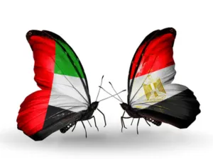 تصدرت الإمارات ومصر دول منطقة الشرق الأوسط وشمال أفريقيا باستثمارات الملكية الخاصة للعام 2013 بواقع 20٪
