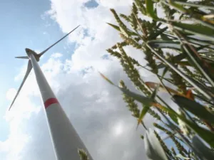 مشروع طاقة الرياح في الطفيلة يأتي كنموذج لأول مشروع طاقة رياح للمساهمة في تحقيق الأهداف المنشودة في الاستراتيجية