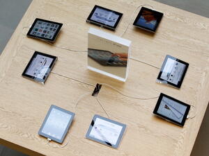 IT spending remains vibrant, with the market expected to register around 13 per cent growth to $7.3 billion in 2013 compared to $6.5 billion last year