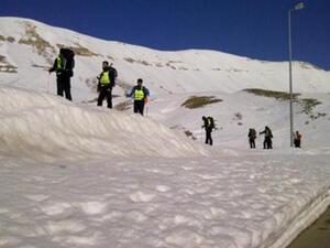 في الأرز لا يقتصر الموسم على التزلج فقط