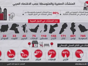 تلعب المنشآت الصغيرة والمتوسطة دوراً بارزاً في تخفيف حدة البطالة في الدول النامية خلال السنوات المقبلة
